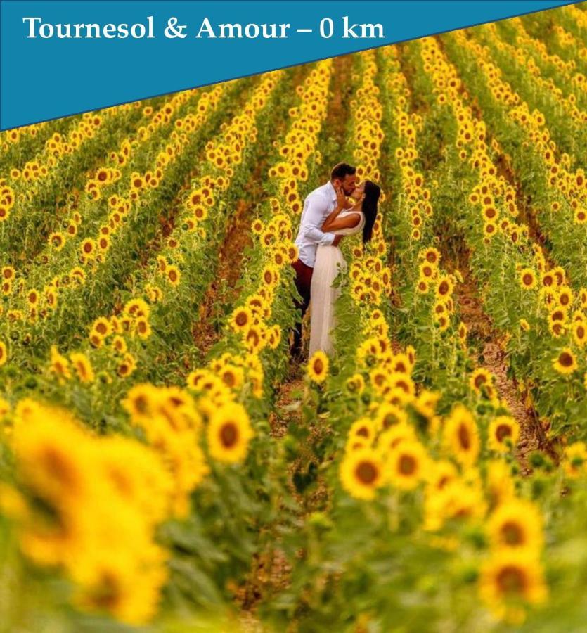 Les Bastidons De L'Isle - Le Saumane - 3 Etoiles公寓 外观 照片